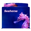 10ft Seahorse C Waveline Media Display | Single-Sided Tension Fabric Exhibit