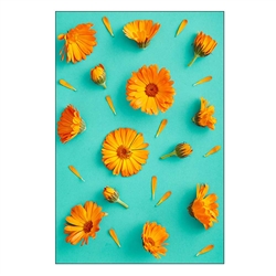 7ft x 4ft Aspen Slim Wall Mounted SEG Fabric | Single-Sided Kit