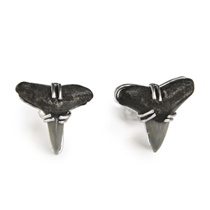 Fossil Shark Teeth Cufflinks