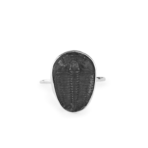 Trilobite Ring