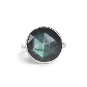 Faceted Bubble Ring in Labradorite