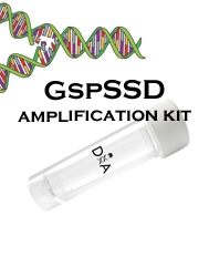 GspSSD AMPLIFICATION KIT WITH DYE (400 RXNS)