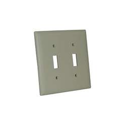 Double Switch Plate