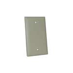 Single Blank Plate