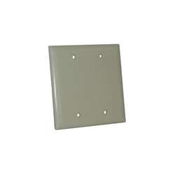 Double Blank Plate