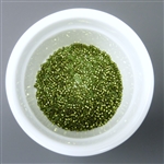 Toho Aiko 11/0 Cylinder beads, copper lined grass green (#742), 4g