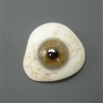 Antique Glass Prosthetic Eye