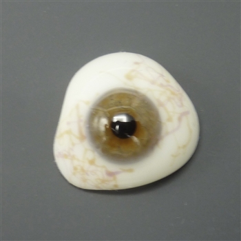 Antique Glass Prosthetic Eye