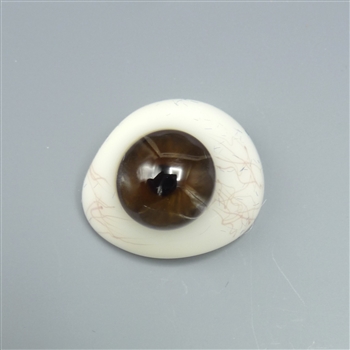 Antique Prosthetic Eye - 7