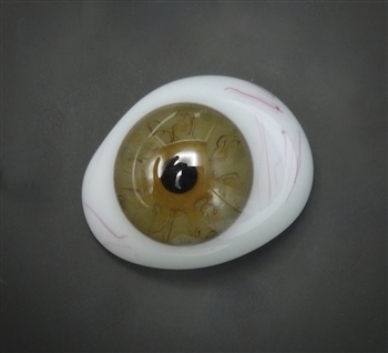 Antique Prosthetic Eye