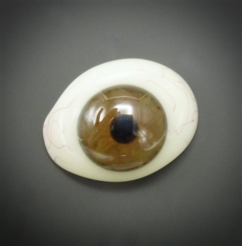 Antique Prosthetic Eye