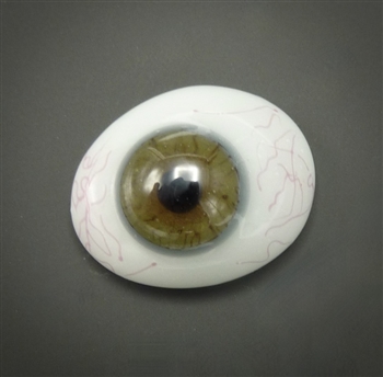 Antique Prosthetic Eye