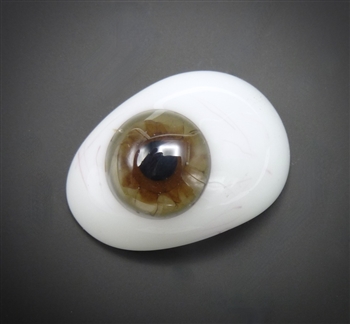 Antique Prosthetic Eye