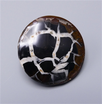 Fossil Mud Crack Point-backed Cabochon