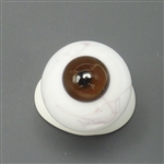 Glass Doll Eye