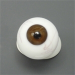 Glass Doll Eye