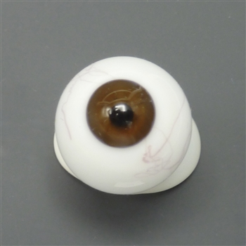 Glass Doll Eye