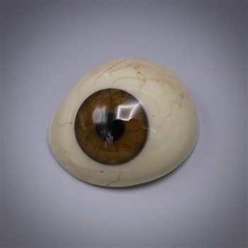 Antique Prosthetic Glass Eye #4