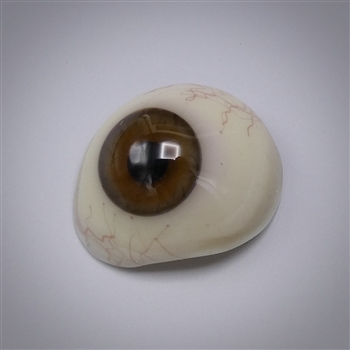 Antique Prosthetic Glass Eye #6