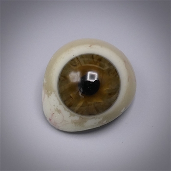 Antique Prosthetic Glass Eye #13