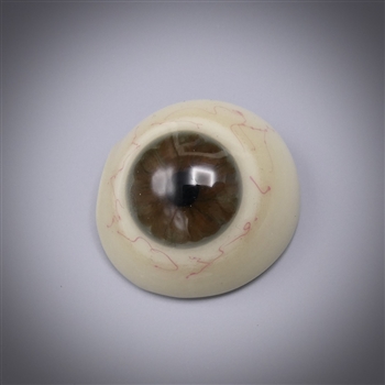 Antique Prosthetic Glass Eye #15
