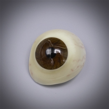 Antique Prosthetic Glass Eye #16