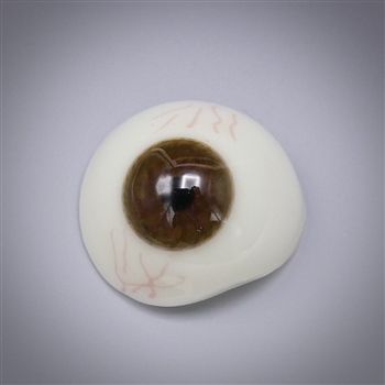 Antique Prosthetic Glass Eye #19