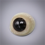 Antique Prosthetic Glass Eye #52