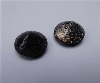 Set of two 16mm shallow stone points, fossil whale bone