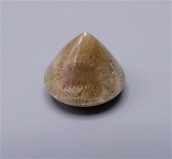 Small Petosky stone points,  12mm diameter