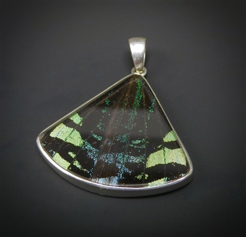 Butterfly Wing Pendant