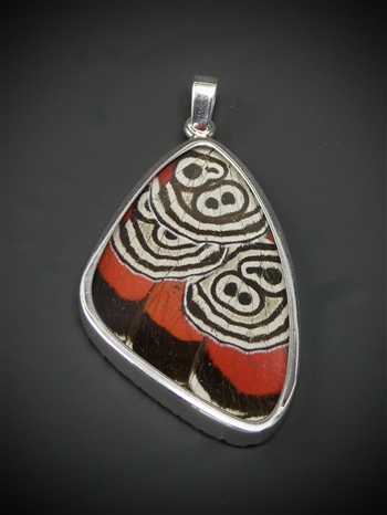Butterfly Wing Pendant