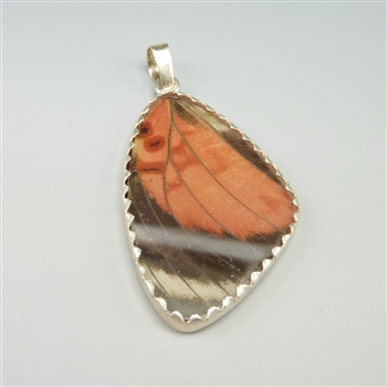 Butterfly Wing Pendant