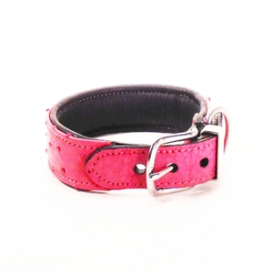 Genuine Ostrich Collars