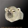 Polar Bear Ring "Conqueror of the North II" by wildlife artist jeweler Daniel C. Toledo, Toledo Wildlife Works of Art