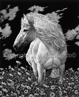 SCRATCHBOARD PRINT "CABALLO GRANDE"