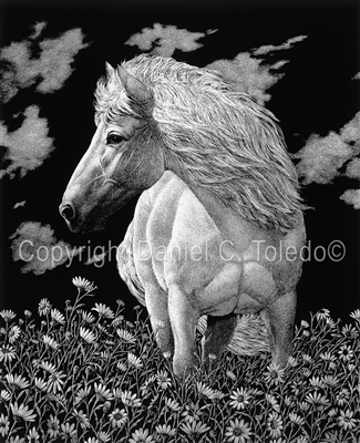 SCRATCHBOARD PRINT "CABALLO GRANDE"