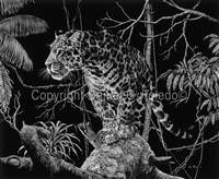 SCRATCHBOARD PRINT "EL TIGRE OF THE MATO GROSSO"