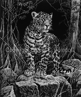 SCRATCHBOARD PRINT "MASTER OF THE JUNGLE"