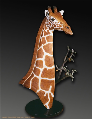 Giraffe bronze sculpture "Handsome Rob" by wildlife sculptor Daniel C. Toledo, Toledo Wildlife Works of Art