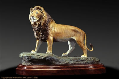 Limited edition bronze lion sculpture "King of the Kalahari" by wildlife sculptor Daniel C. Toledo, Toledo Wildlife Works of Art