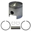 EZGO 2-cycle Piston and Ring Assembly, One Port Standard Size                        