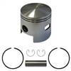 EZGO 2-cycle Piston and Ring Assembly, One Port +.25mm                   