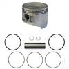 Club Car DS, Precedent Piston and Ring Assembly, Standard                          