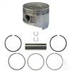 Club Car DS, Precedent Piston and Ring Assembly, +.25mm 