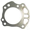 EZGO RXV Head Gasket