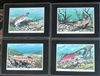 Large table mats wild Trout Coho Salmon decor