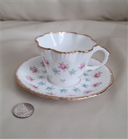 Salisbury Bone China teacup and saucer England