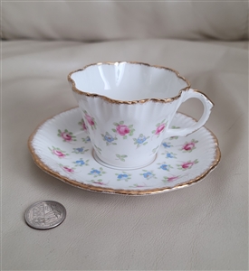 Salisbury Bone China teacup and saucer England
