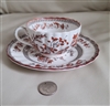 Indian Tree Copeland Spode teacup and saucer set